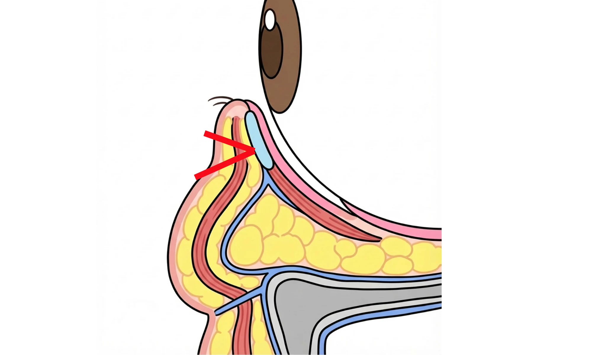 kaganken joshuu overview