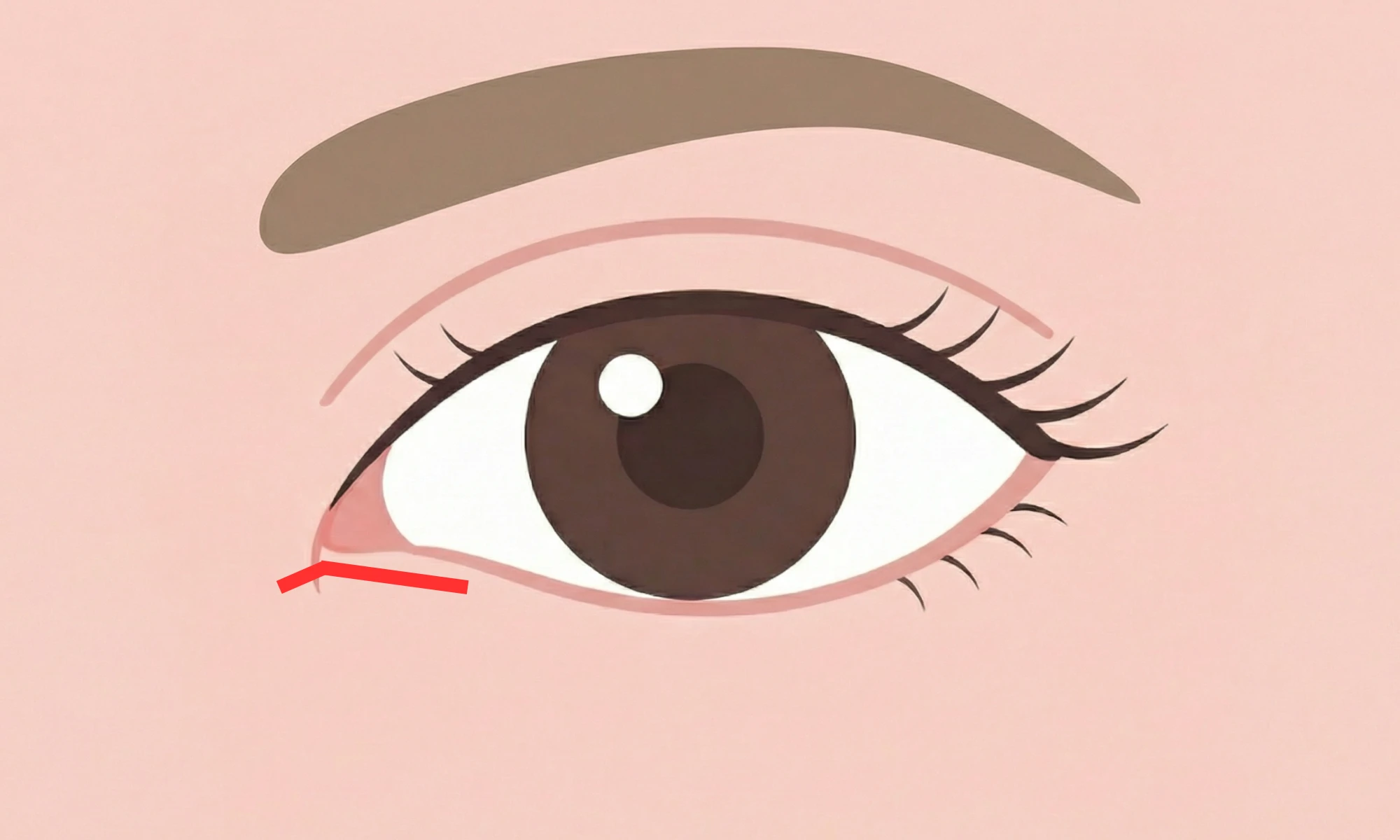 megashira sekkai overview